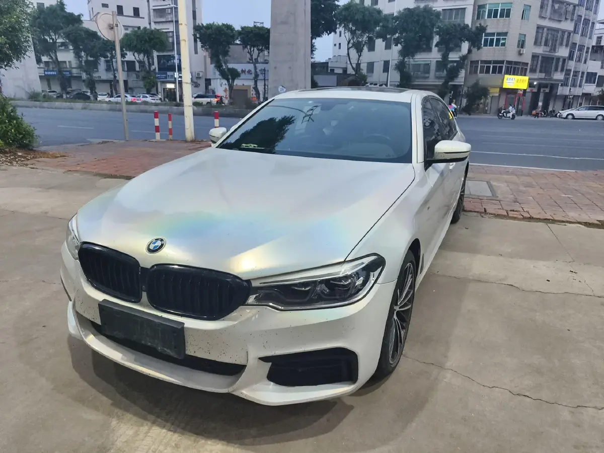 2020 BMW 5 Series 2.0T 252HP L4 8AT