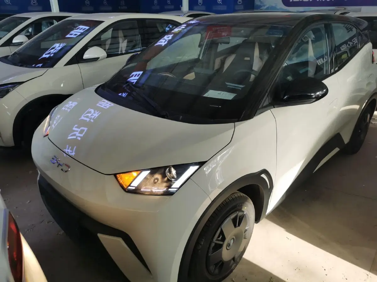 2025 BYD Seagull BEV 30.08KWH