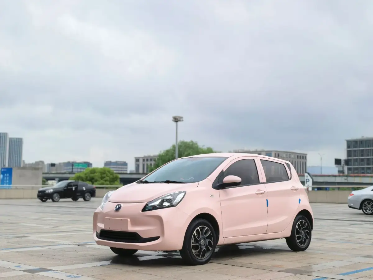 2021 ChangAn BenBen E-Star BEV 31.86KWH