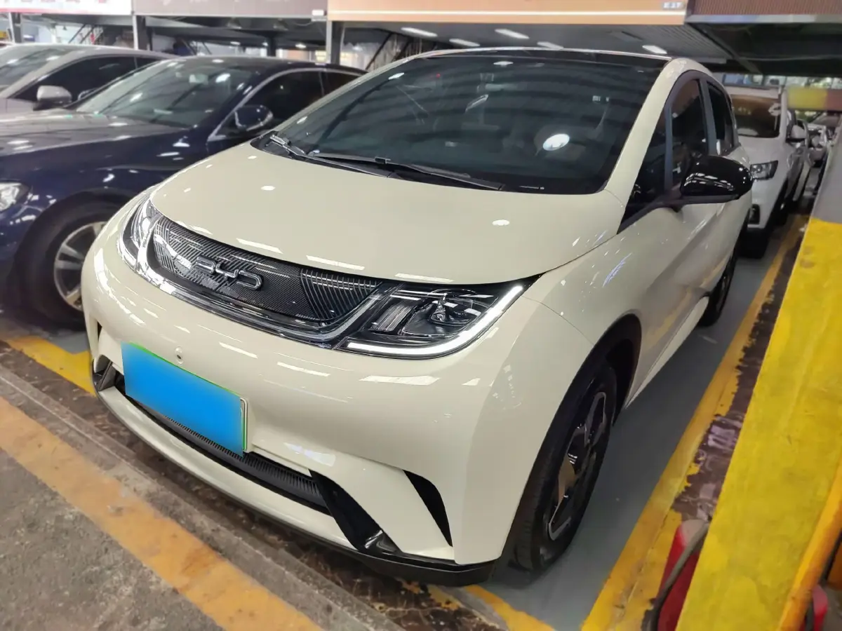 2021 BYD Dolphin BEV 44.9KWH