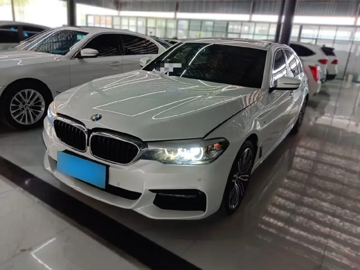 2018 BMW 5 Series 2.0T 252HP L4 8AT