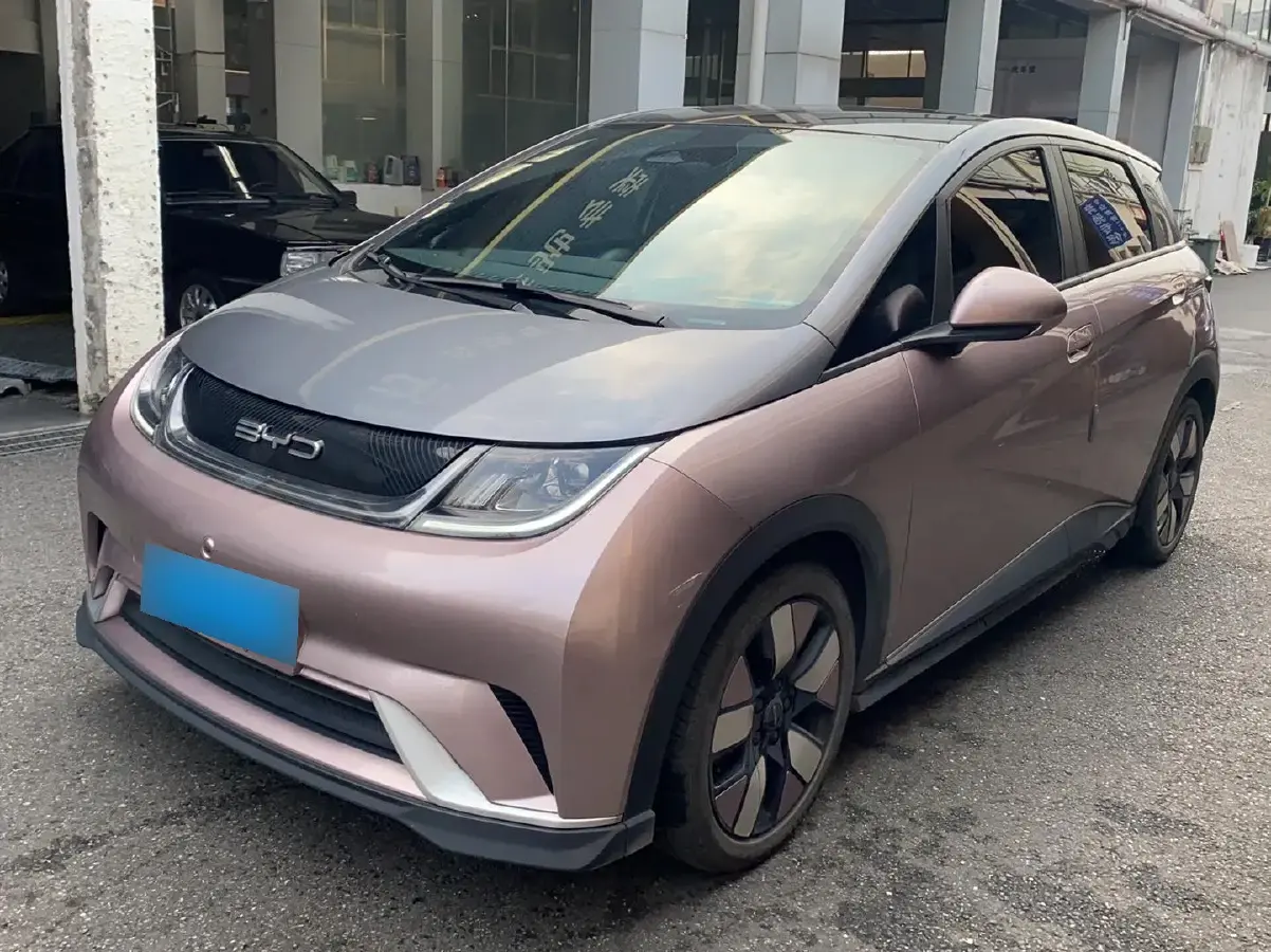 2021 BYD Dolphin BEV 44.9KWH