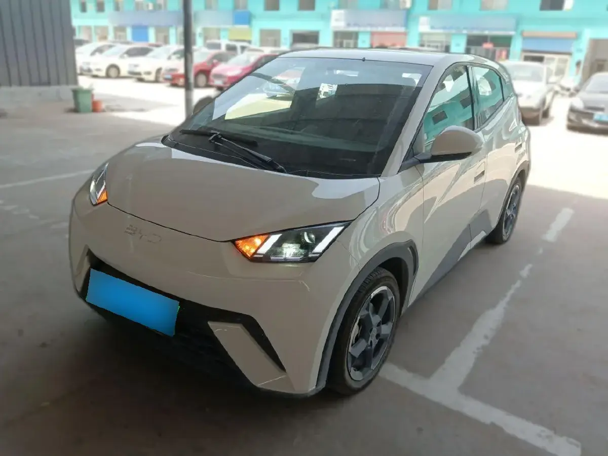 2024 BYD Seagull BEV 38.88KWH