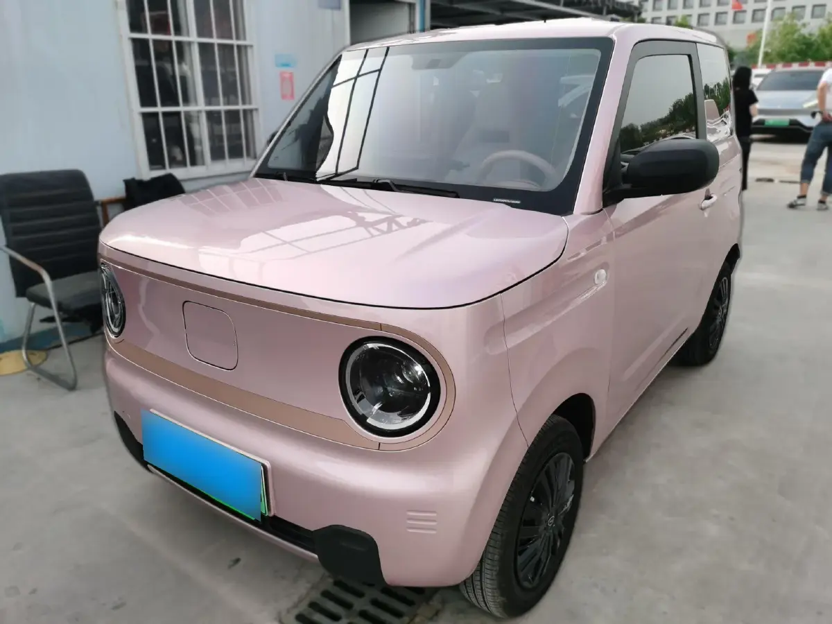 2024 Geely Galaxy Panda BEV 17.03KWH