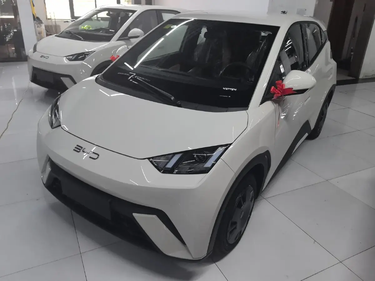 2025 BYD Seagull BEV 30.08KWH