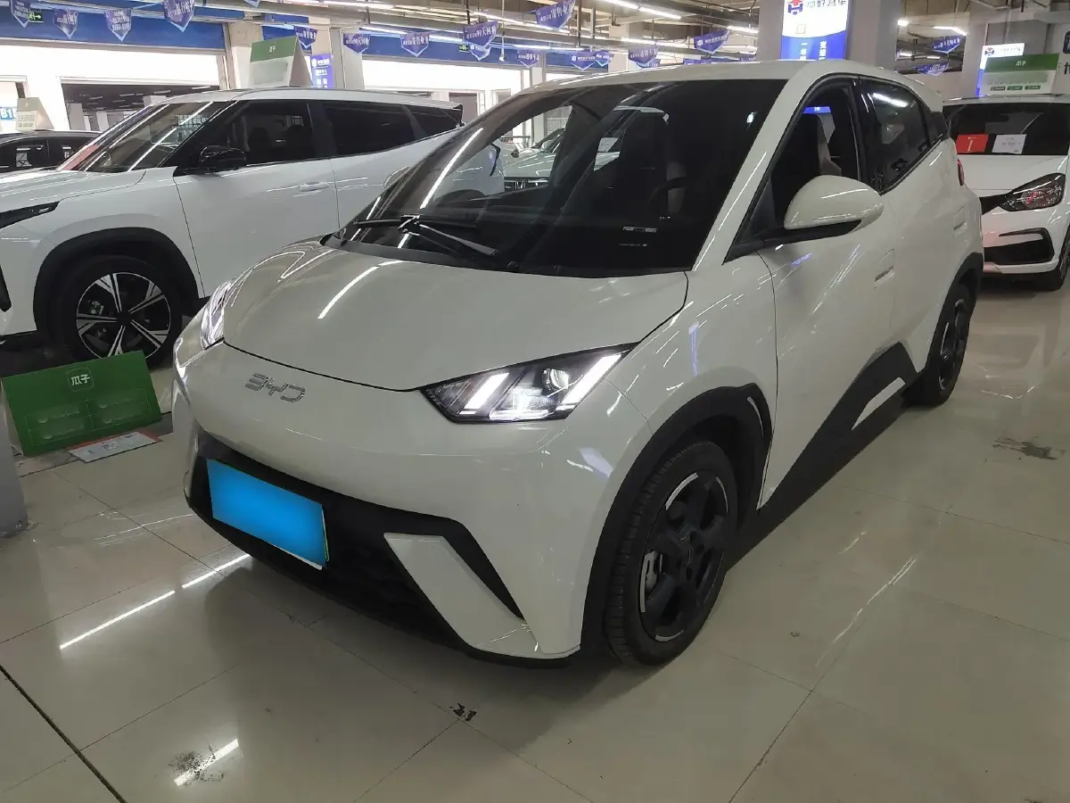 2024 BYD Seagull BEV 30.08KWH
