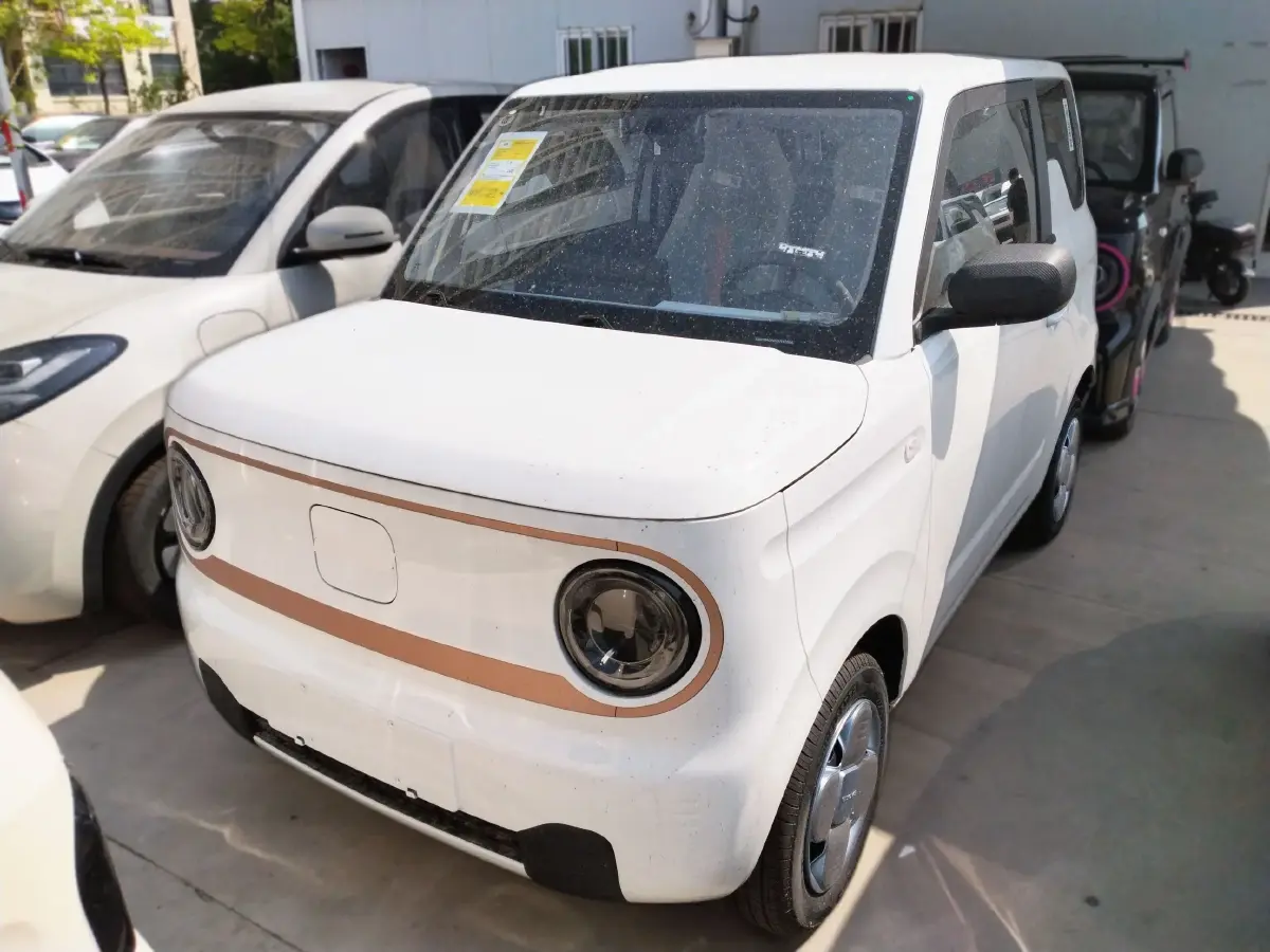 2024 Geely Galaxy Panda BEV 17.03KWH