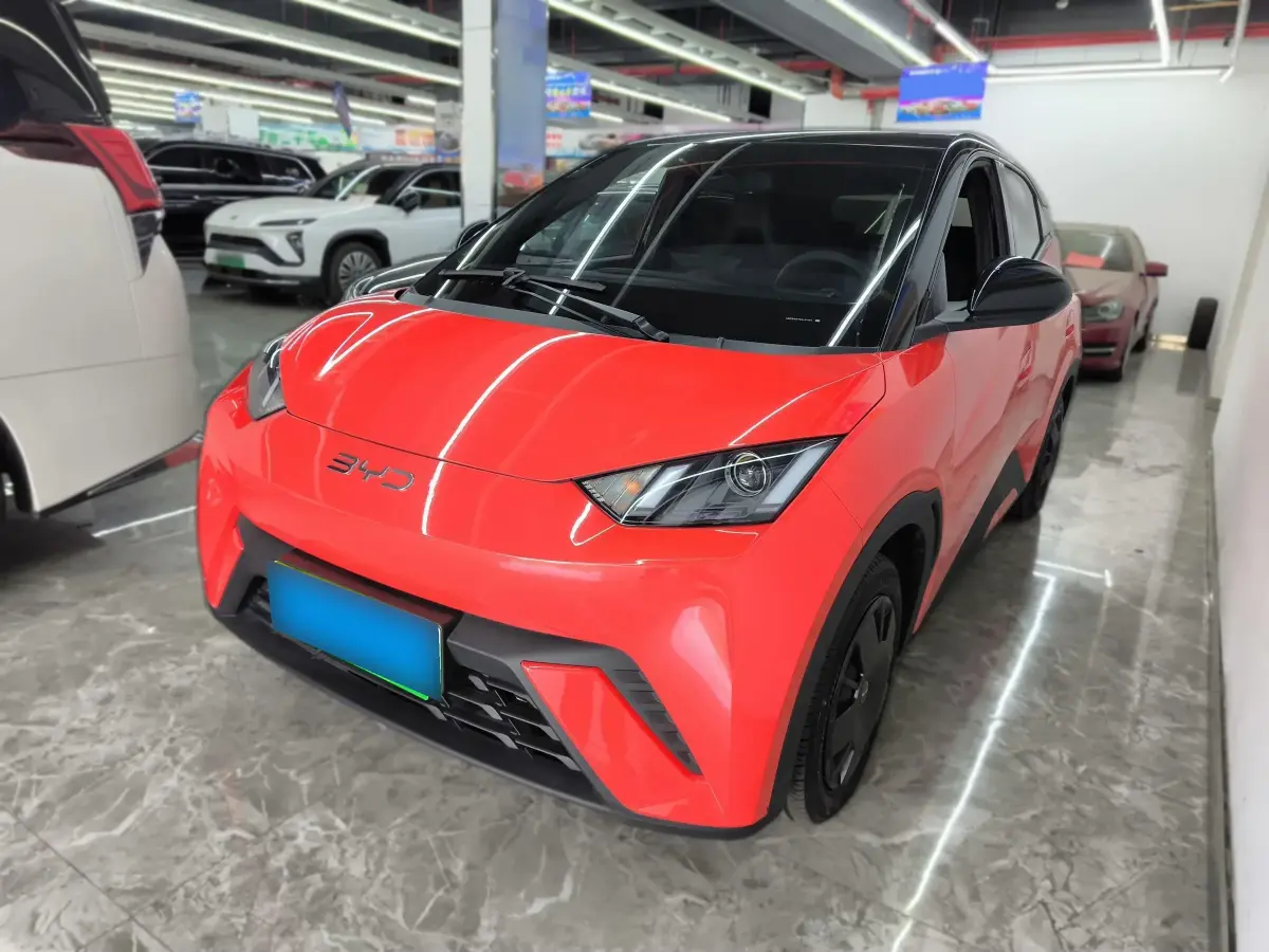 2024 BYD Seagull BEV 30.08KWH
