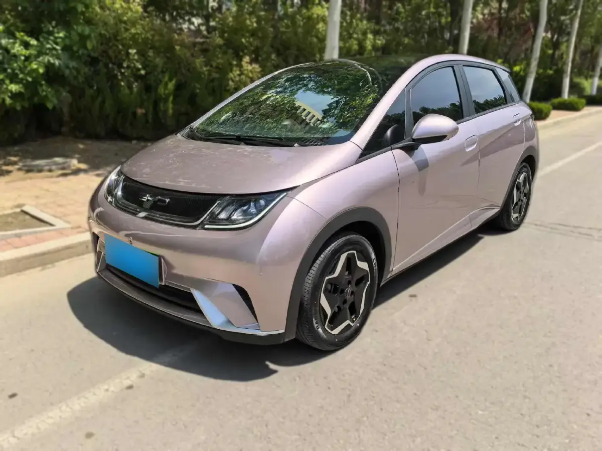 2021 BYD Dolphin BEV 44.9KWH
