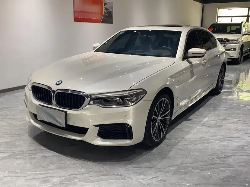 2020 BMW 5 Series 2.0T 252HP L4 8AT