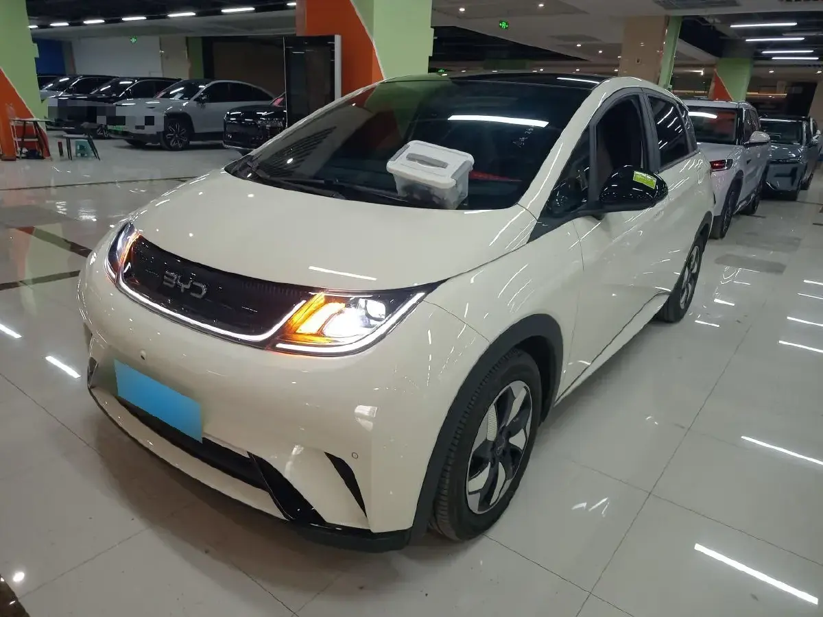 2024 BYD Dolphin BEV 44.928KWH