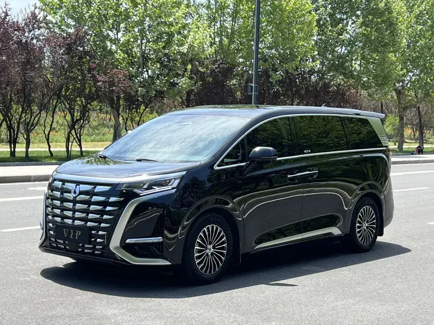 2024 Denza D9 1.5T 139HP L4 E-CVT PHEV 40KWH