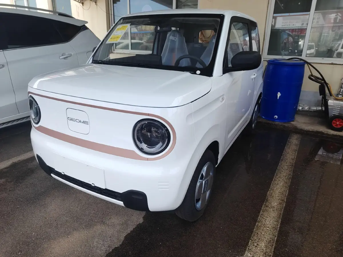 2024 Geely Galaxy Panda BEV 17.03KWH