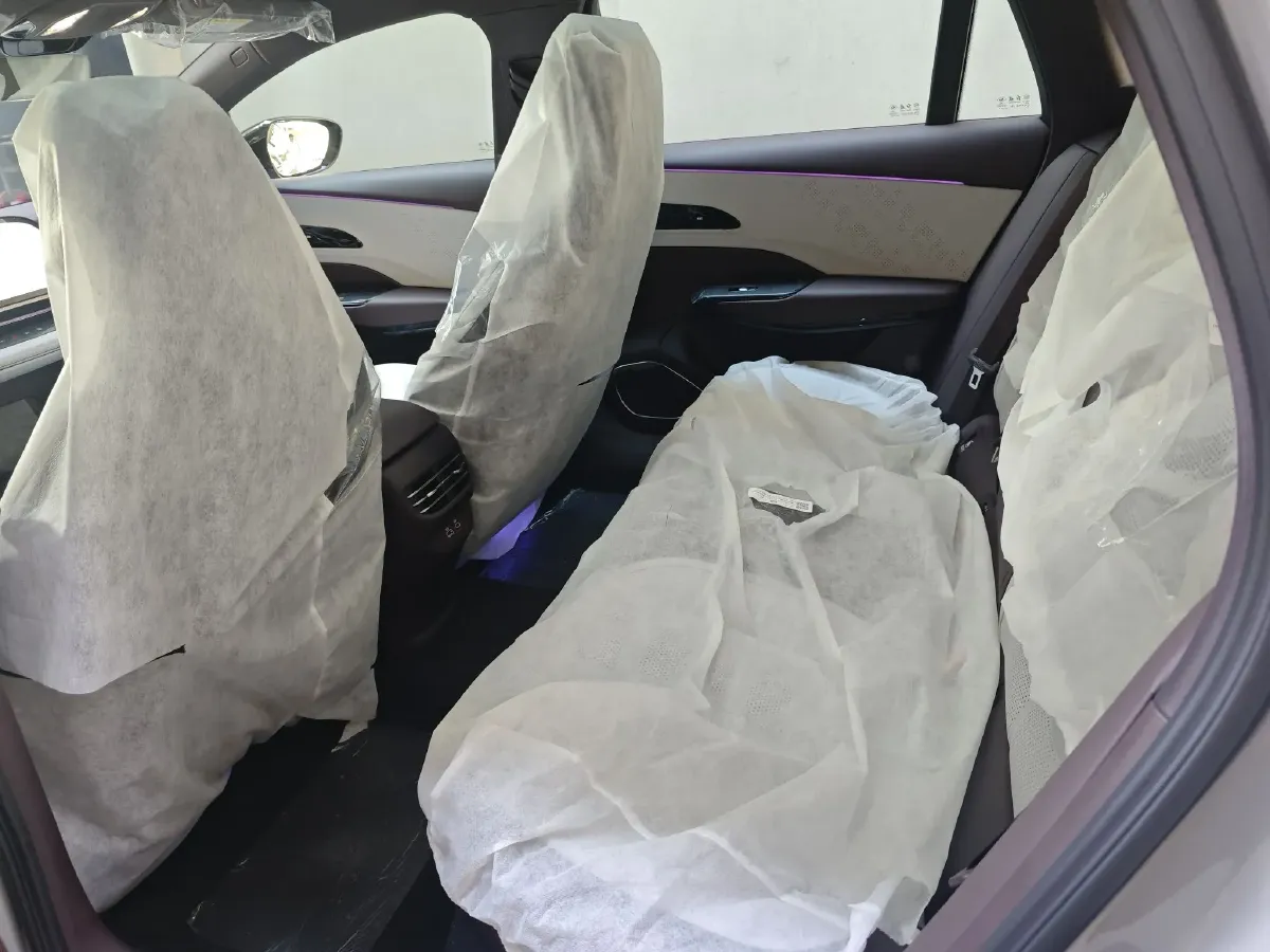 2024 HongQi EH7 BEV 75KWH,autocango,china used car exporter,china ev exporter,chinese used car exporter,chinese used ev exporter