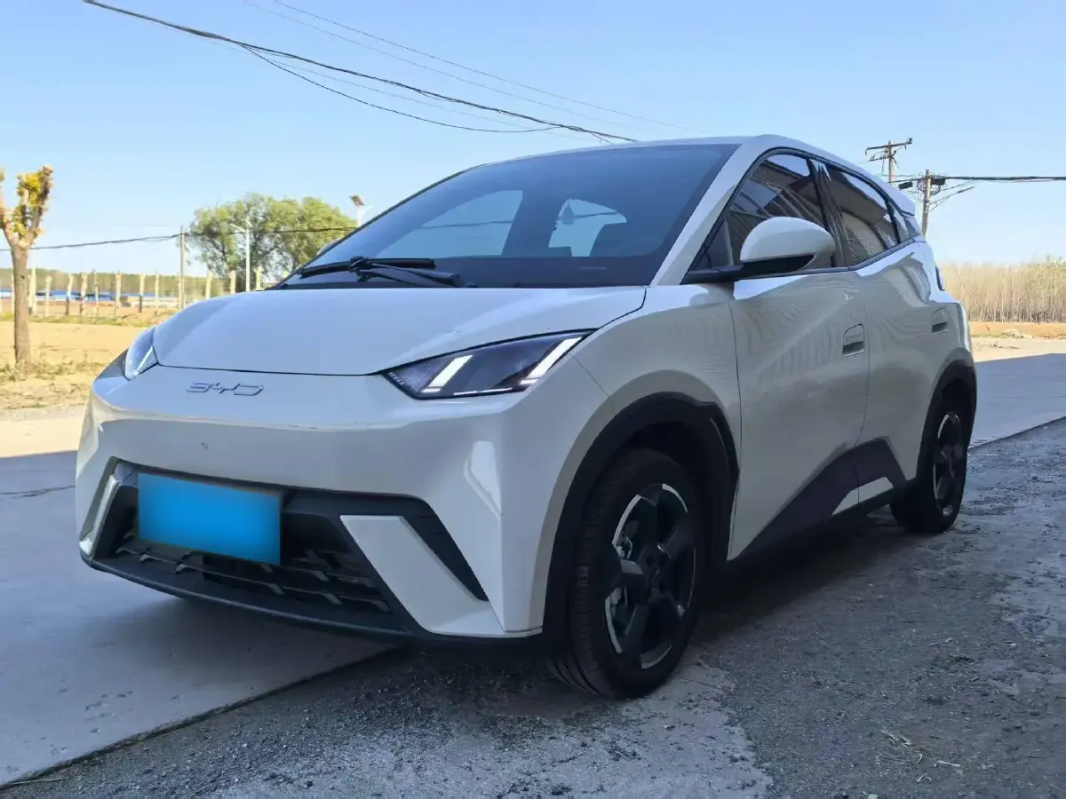 2023 BYD Seagull BEV 30.08KWH