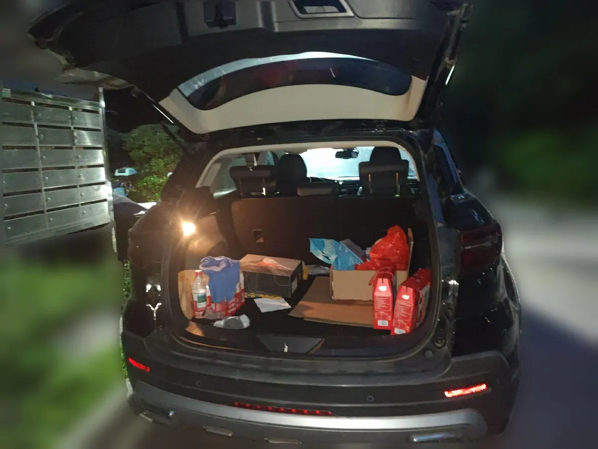 2021 Ford Territory 1.5T 140HP L4 CVT,autocango,china used car exporter,china ev exporter,chinese used car exporter,chinese used ev exporter