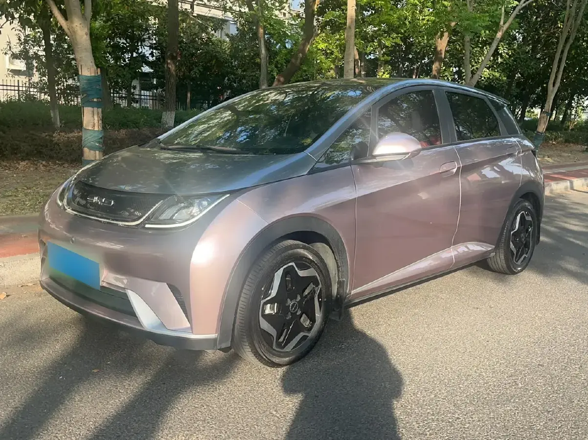 2021 BYD Dolphin BEV 44.9KWH