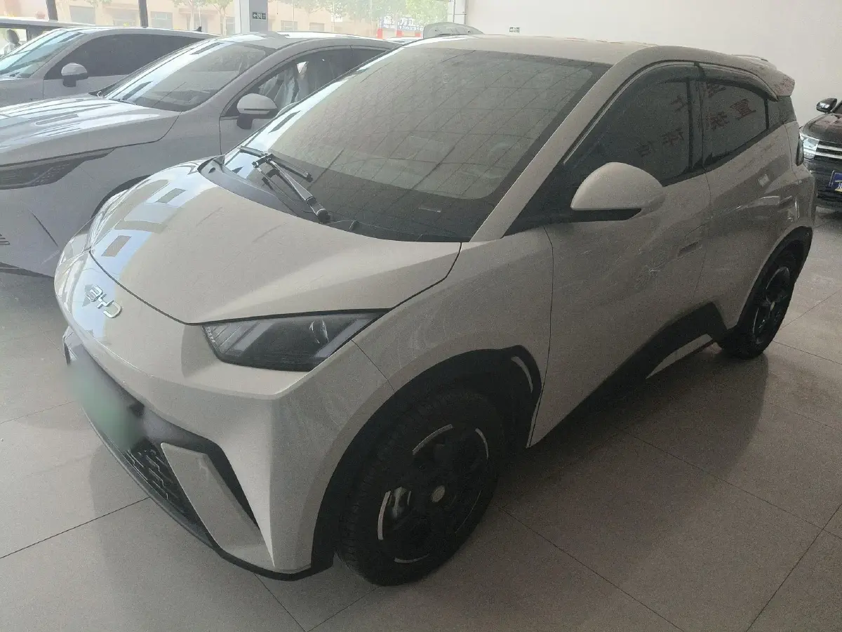 2025 BYD Seagull BEV 30.08KWH