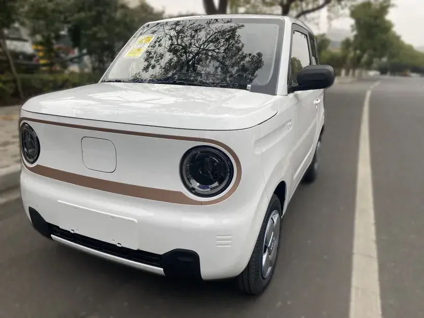 2024 Geely Galaxy Panda BEV 17.03KWH