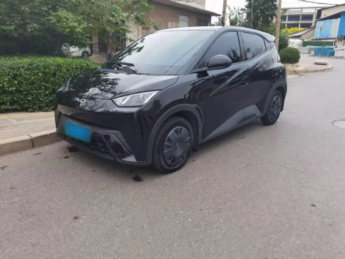 2025 BYD Seagull BEV 30.08KWH