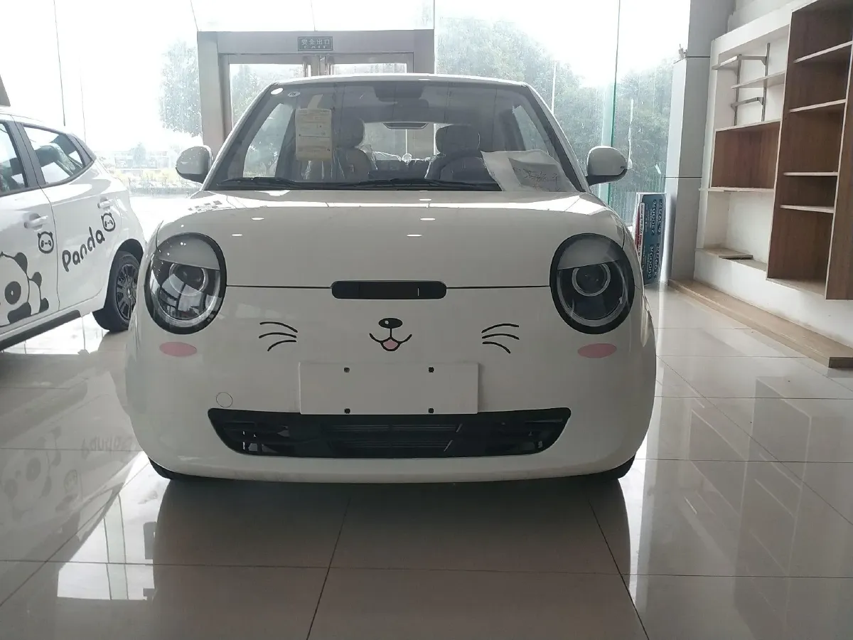 2025 ChangAn Lumin BEV 17.65KWH,autocango,china used car exporter,china ev exporter,chinese used car exporter,chinese used ev exporter