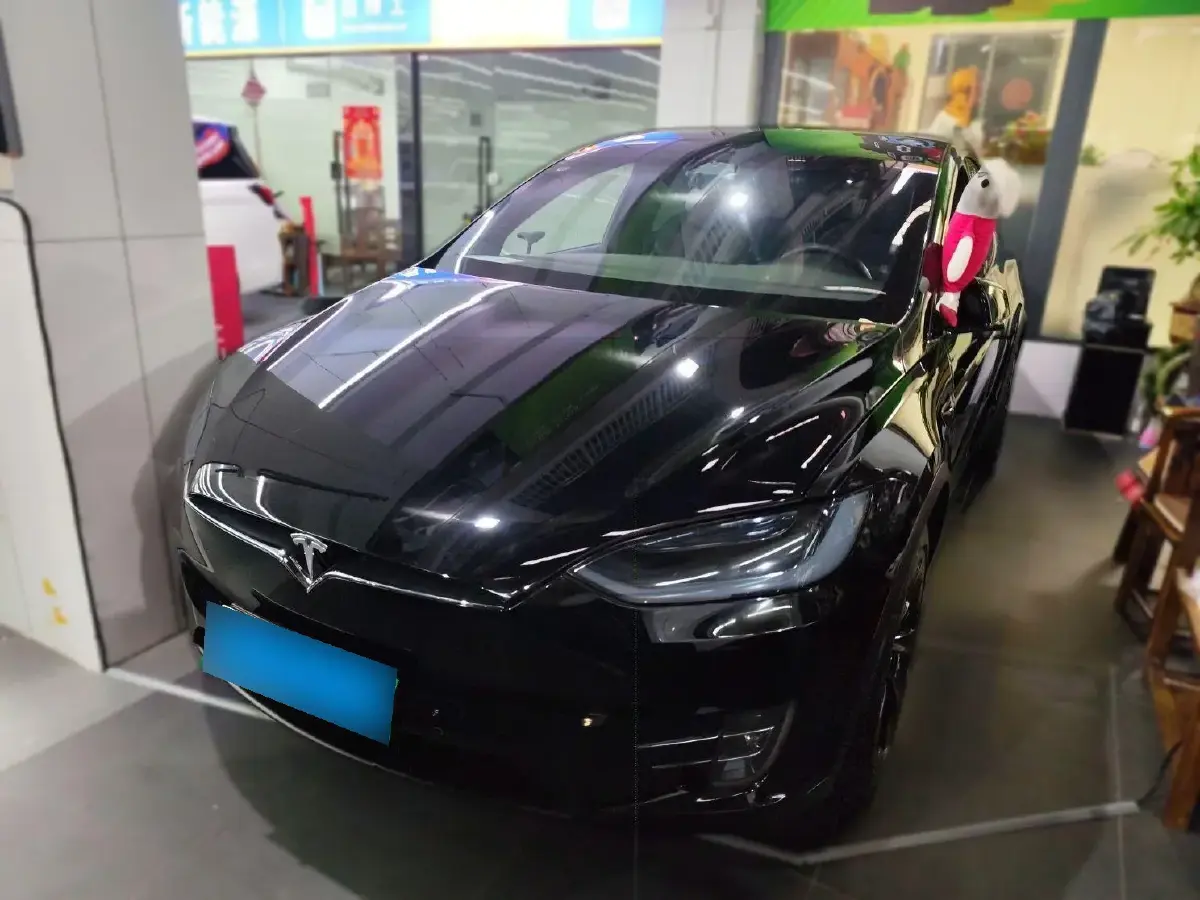 2019 Tesla Model X BEV 100KWH
