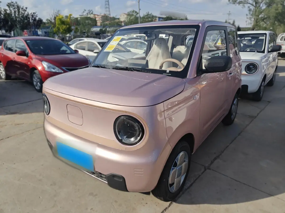2024 Geely Galaxy Panda BEV 17.03KWH