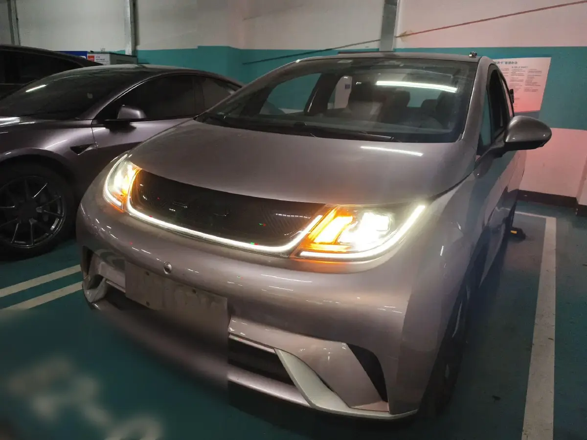 2021 BYD Dolphin BEV 44.9KWH