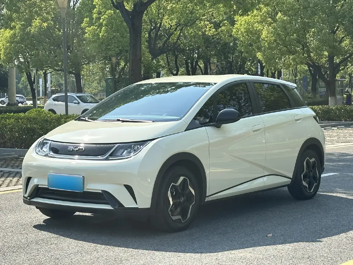 2025 BYD Dolphin BEV 44.928KWH