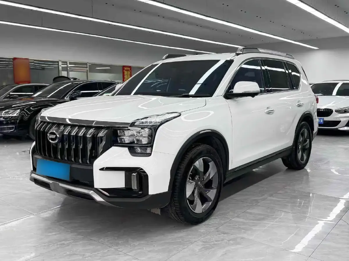 2020 GAC Trumpchi GS8 2.0T 252HP L4 6AT