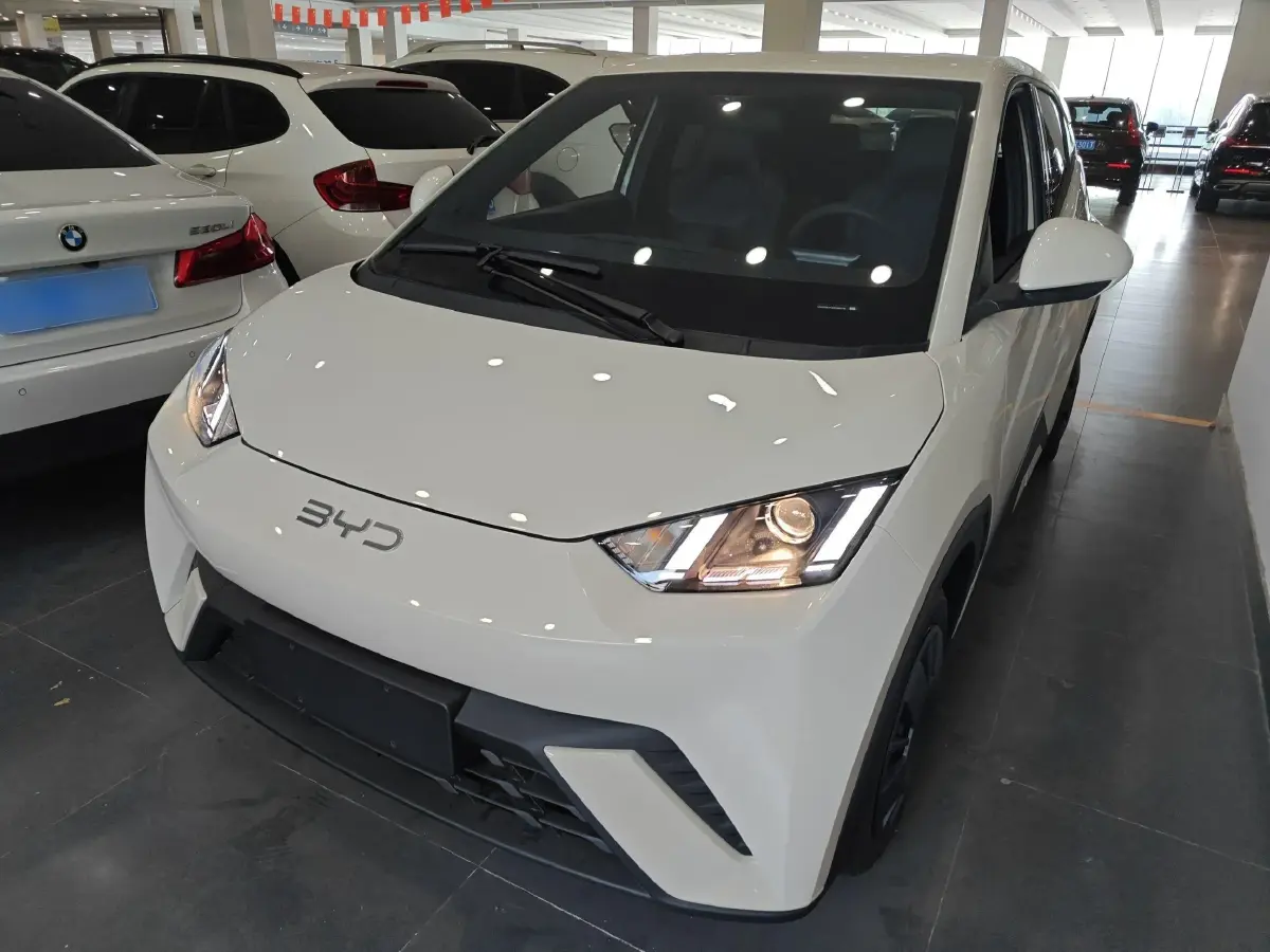 2025 BYD Seagull BEV 30.08KWH