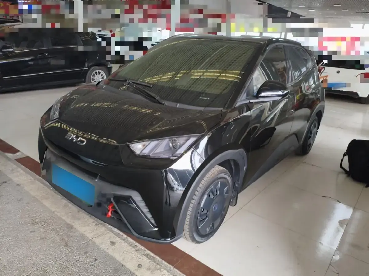 2025 BYD Seagull BEV 30.08KWH
