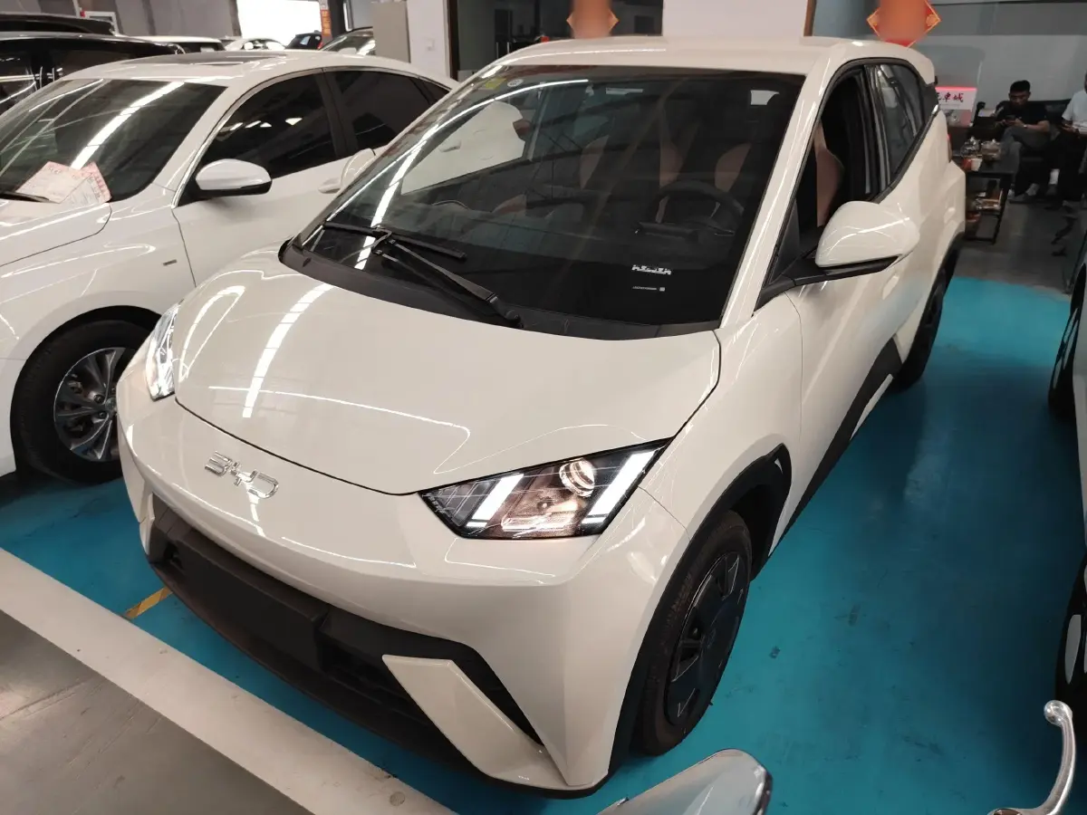 2025 BYD Seagull BEV 30.08KWH