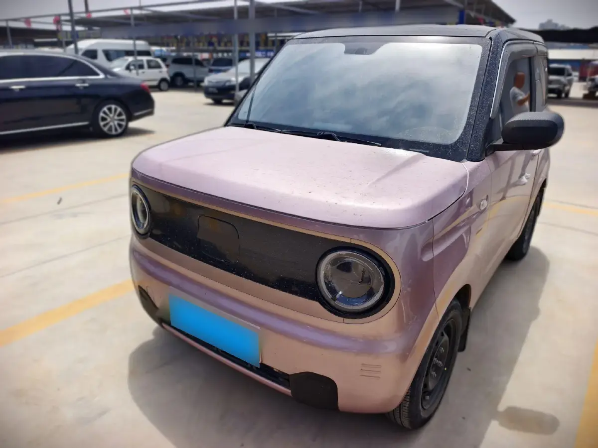 2023 Geely Galaxy Panda BEV 17.03KWH