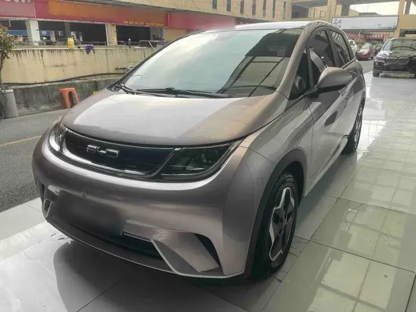 2021 BYD Dolphin BEV 44.9KWH