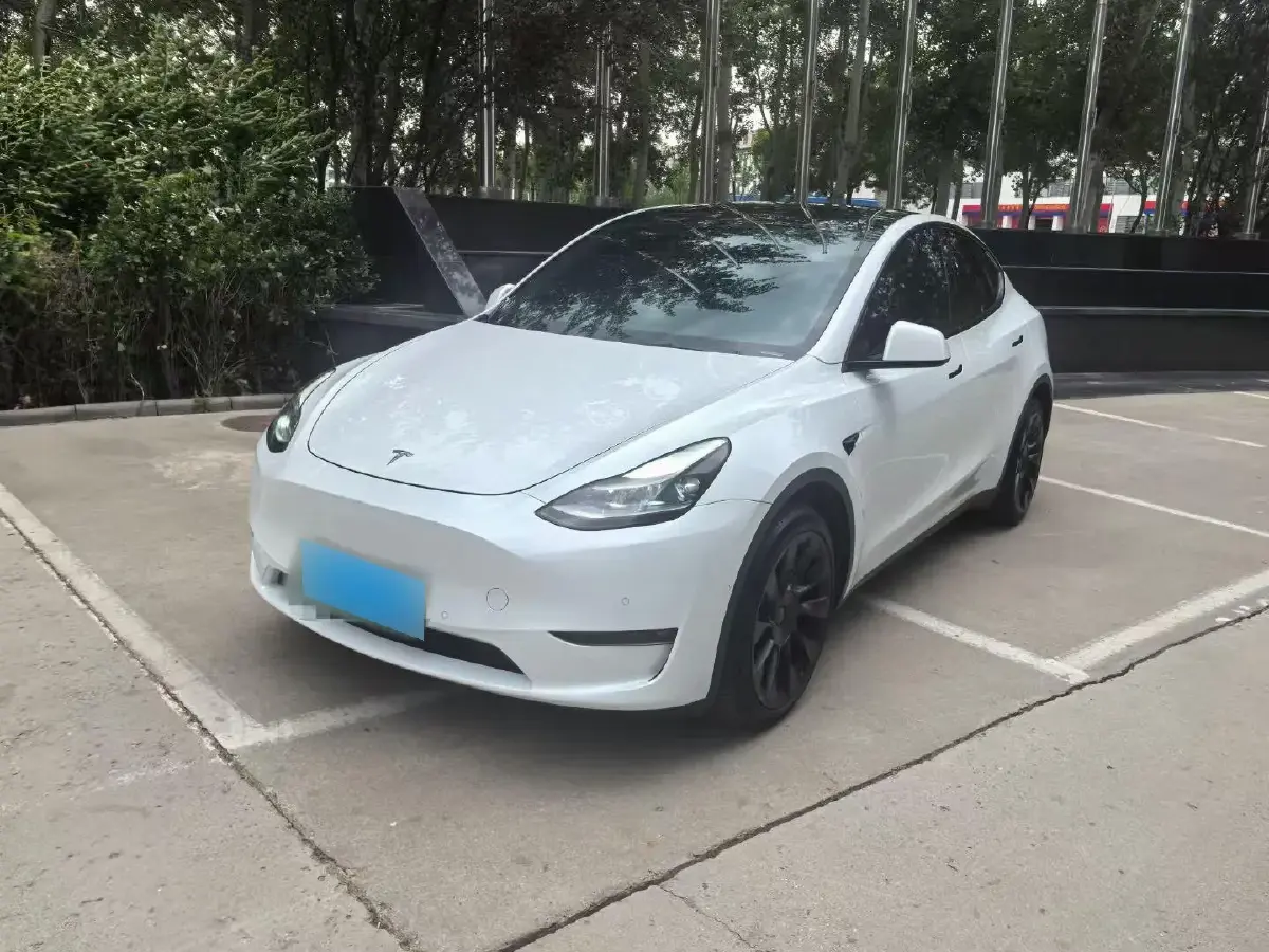 2021 Tesla Model Y BEV 76.8KWH