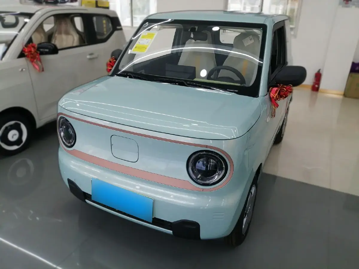 2024 Geely Galaxy Panda BEV 17.03KWH