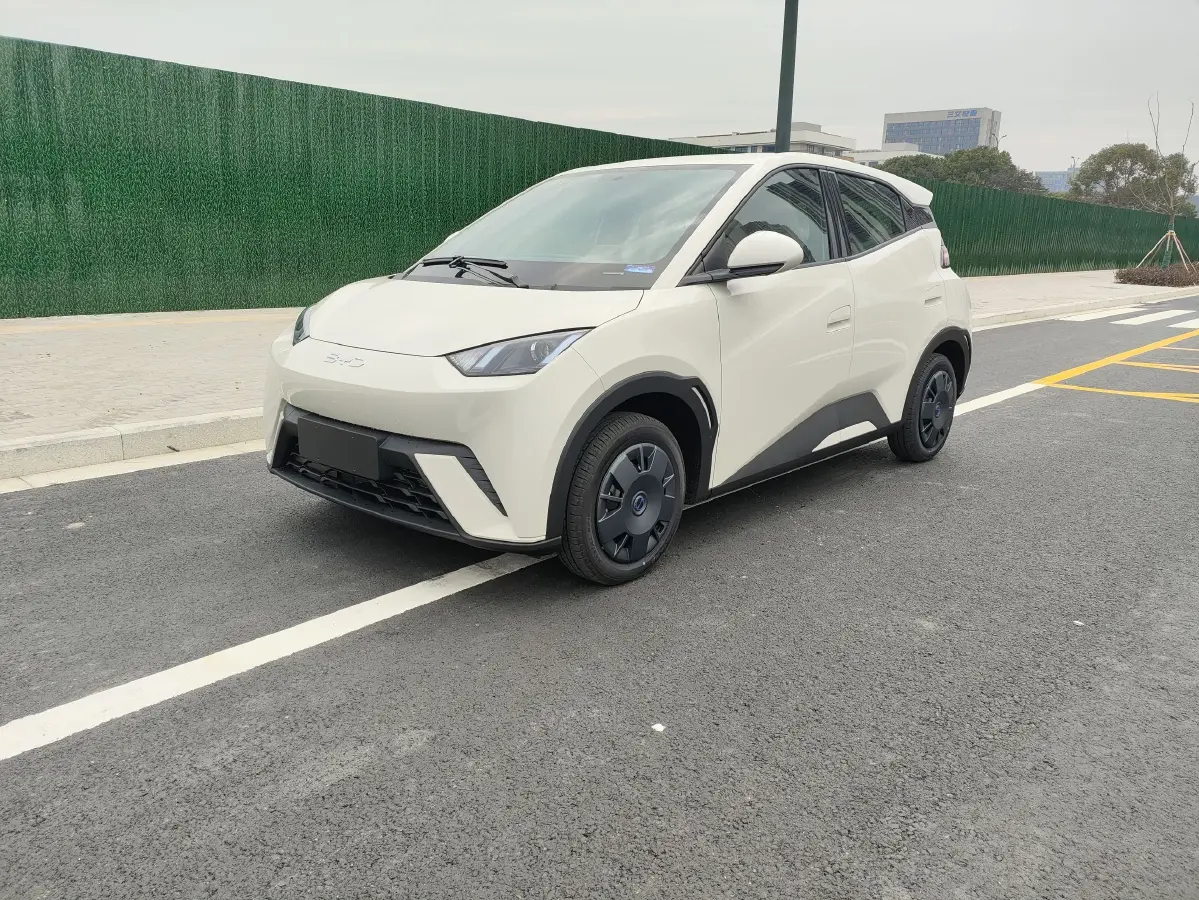 2025 BYD Seagull BEV 30.08KWH