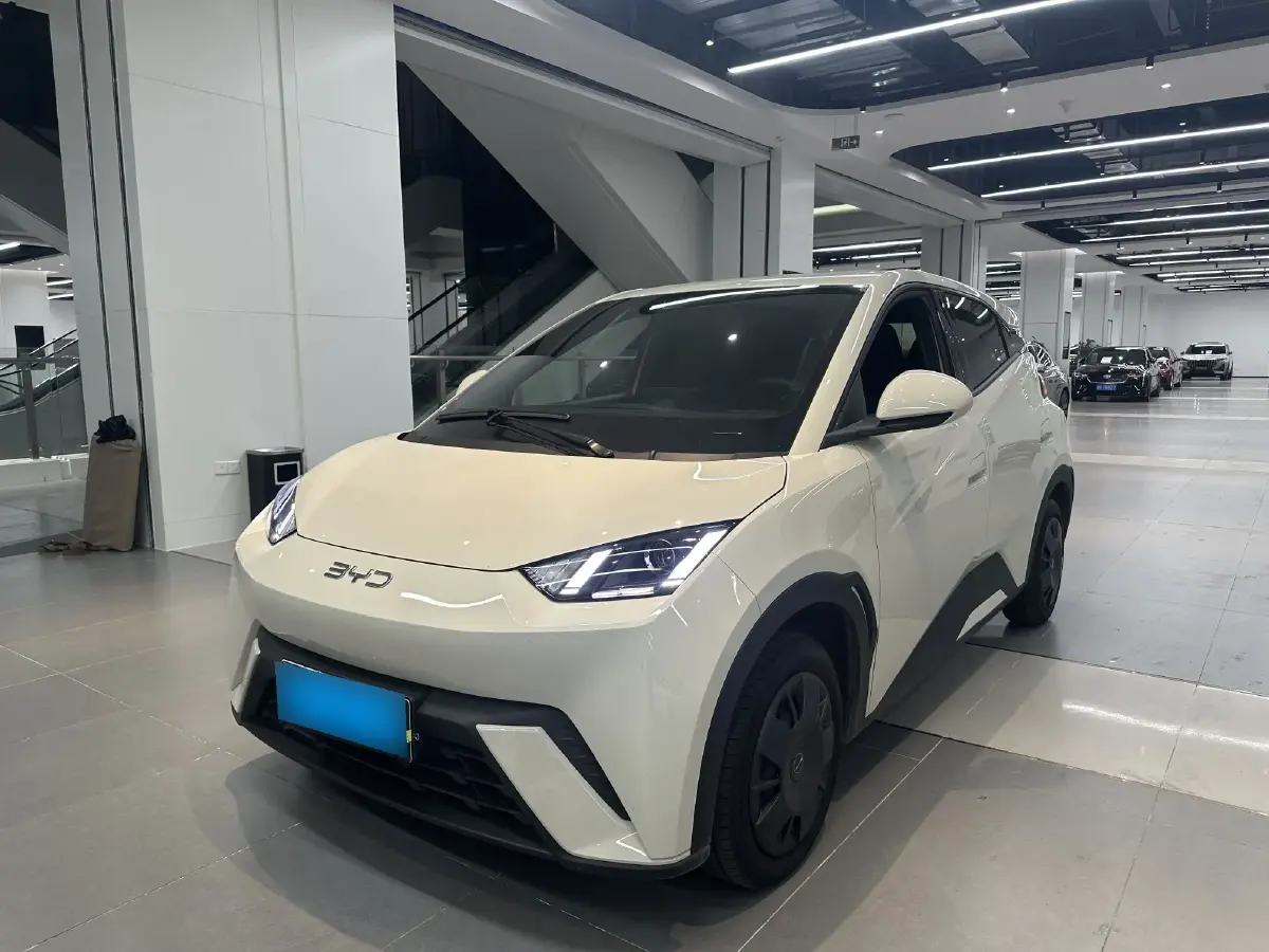 2024 BYD Seagull BEV 30.08KWH