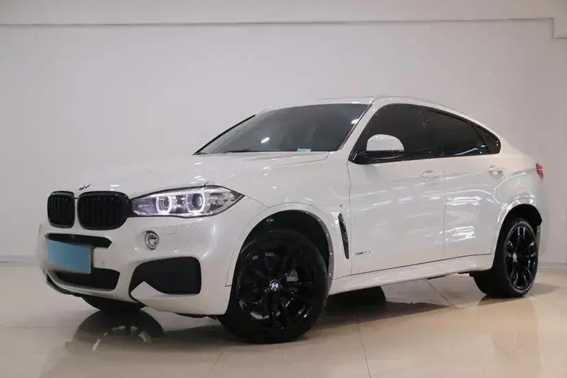 2019 BMW X6 3.0T 306HP L6 8AT