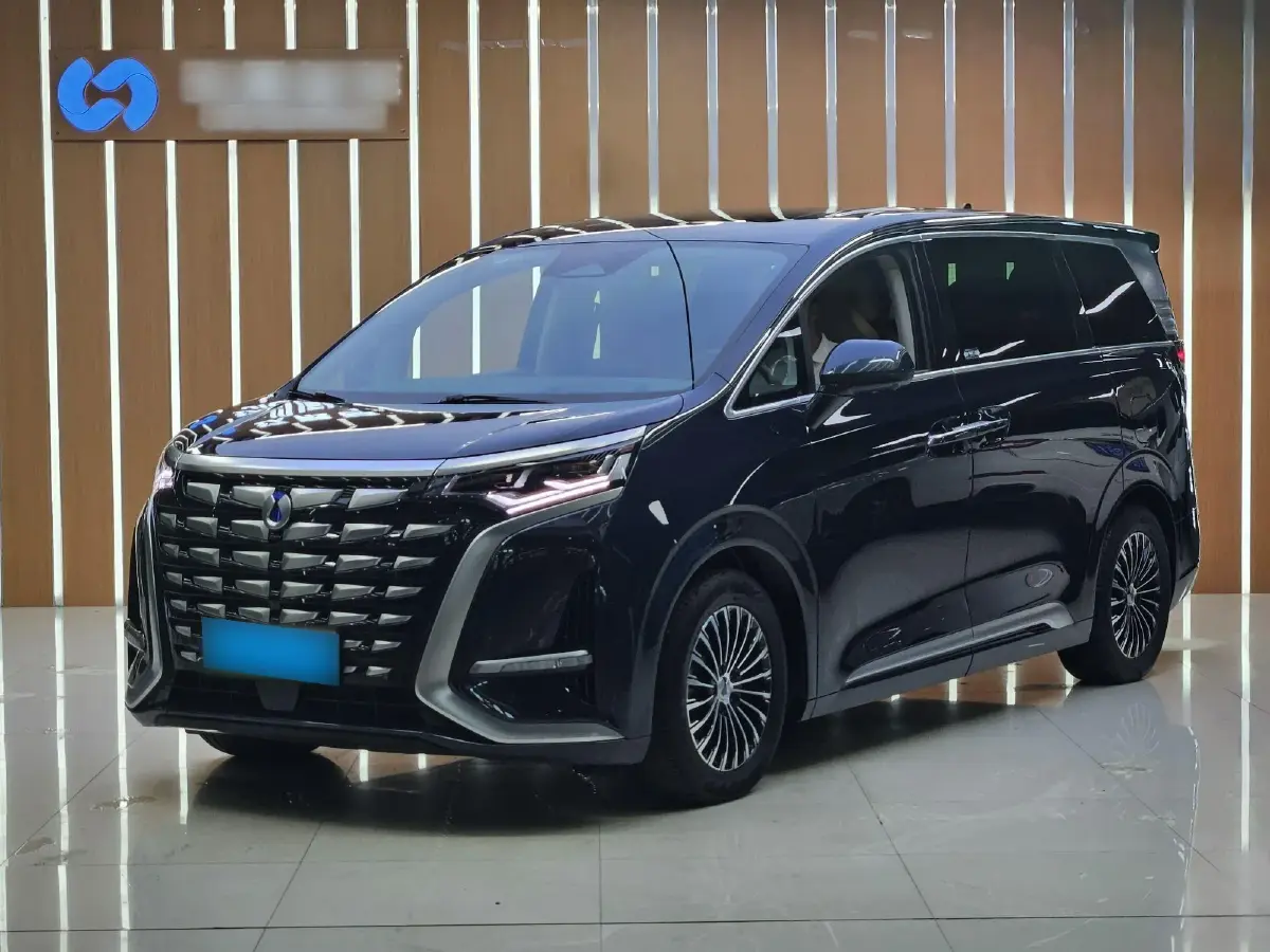 2022 Denza D9 1.5T 139HP L4 E-CVT PHEV 40.06KWH