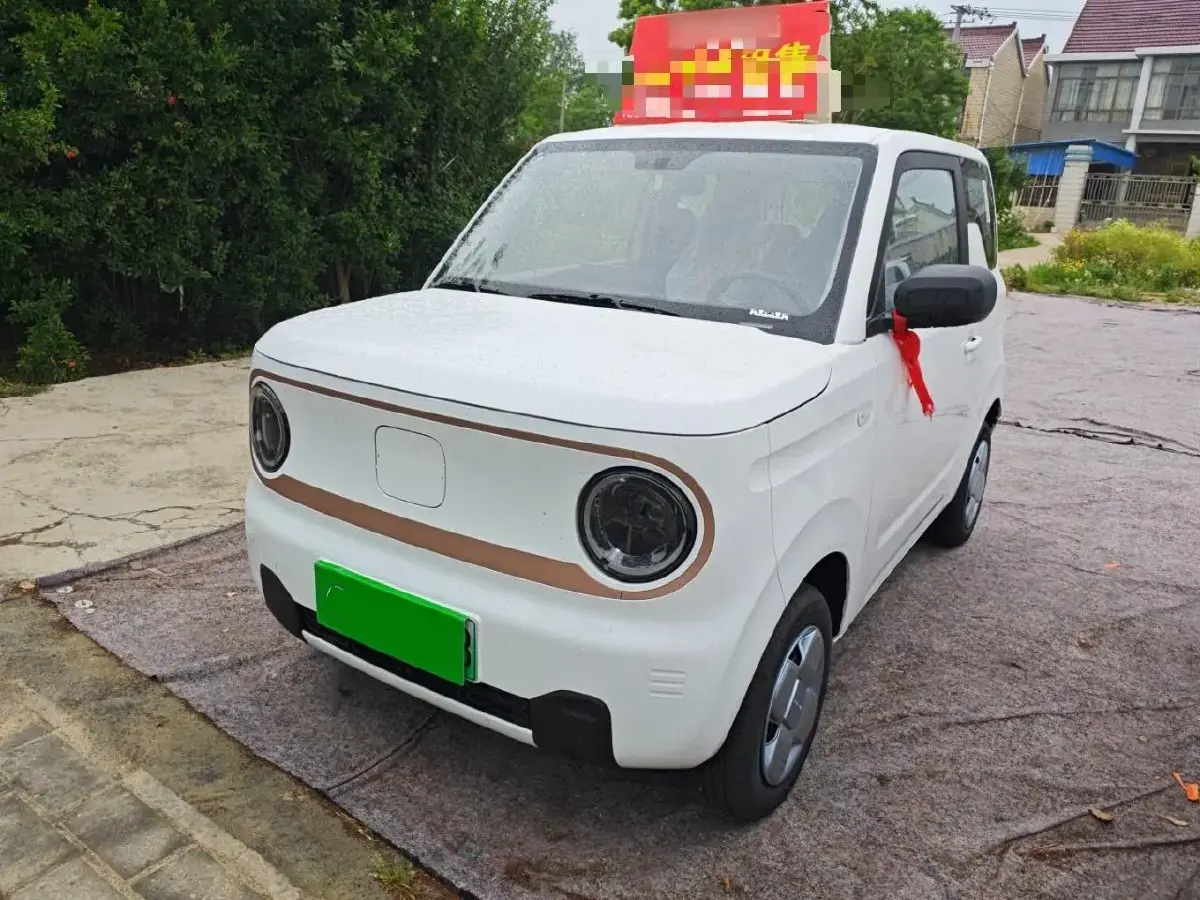 2024 Geely Galaxy Panda BEV 17.03KWH