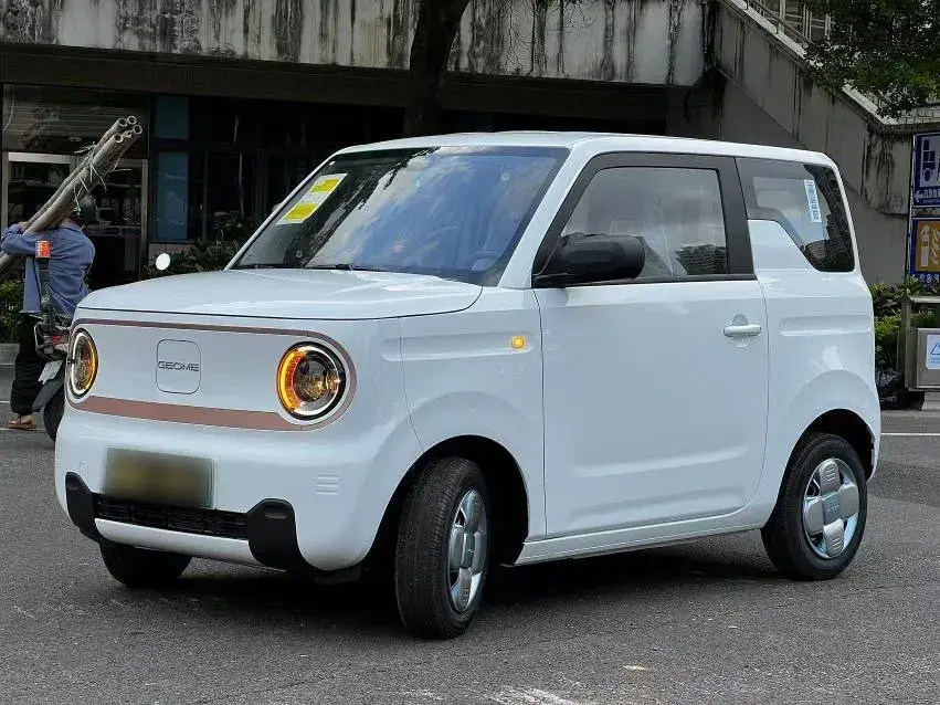 2024 Geely Galaxy Panda BEV 17.03KWH