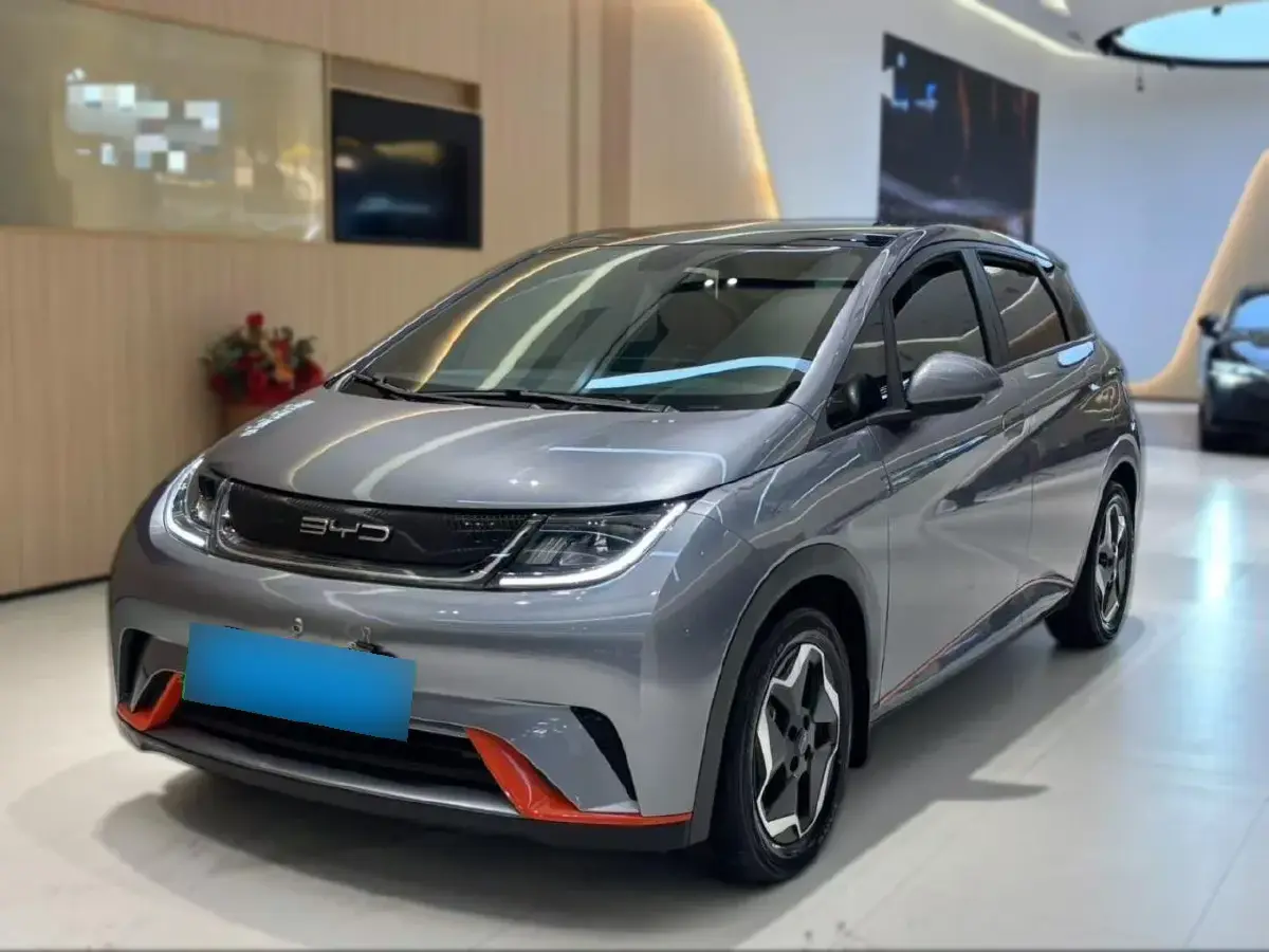 2021 BYD Dolphin BEV 44.9KWH
