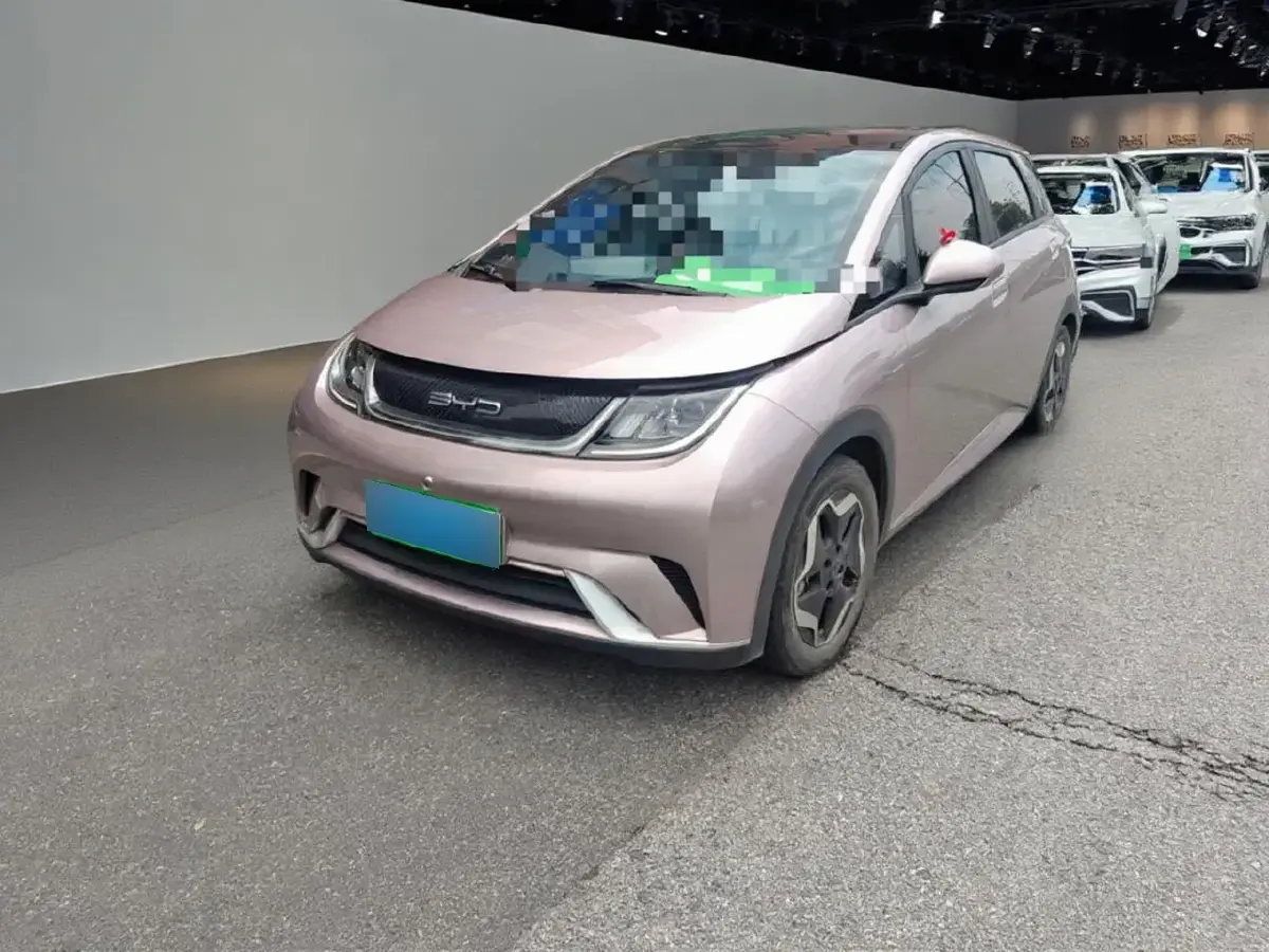 2021 BYD Dolphin BEV 44.9KWH