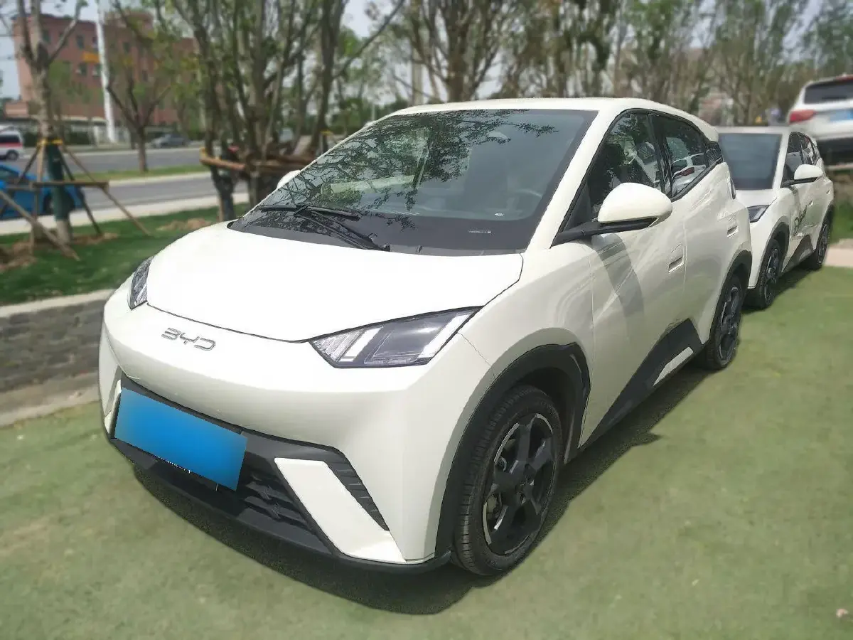 2023 BYD Seagull BEV 38.88KWH