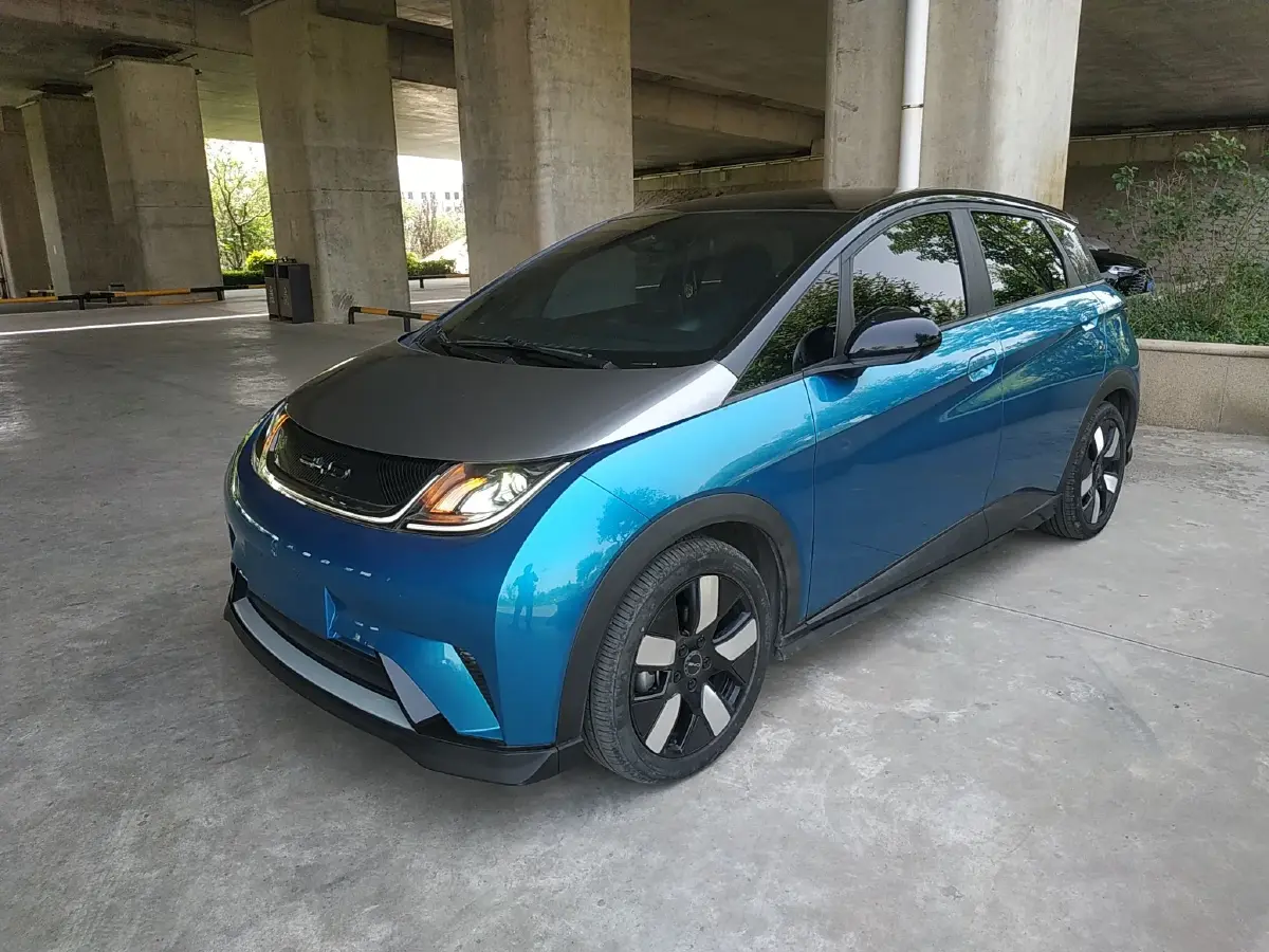 2021 BYD Dolphin BEV 44.9KWH