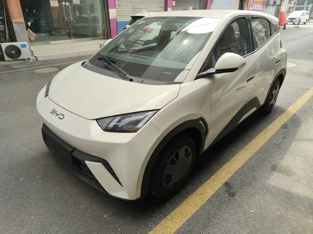 2025 BYD Seagull BEV 30.08KWH