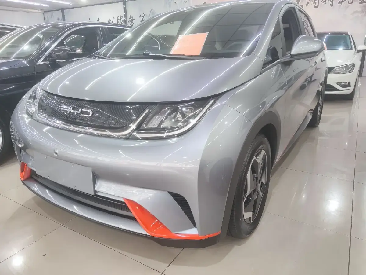 2021 BYD Dolphin BEV 44.9KWH