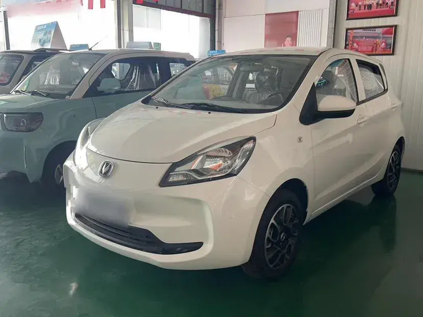 2021 ChangAn BenBen E-Star BEV 31.95KWH
